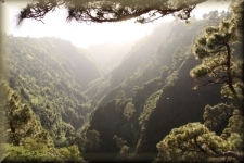 Barranco 